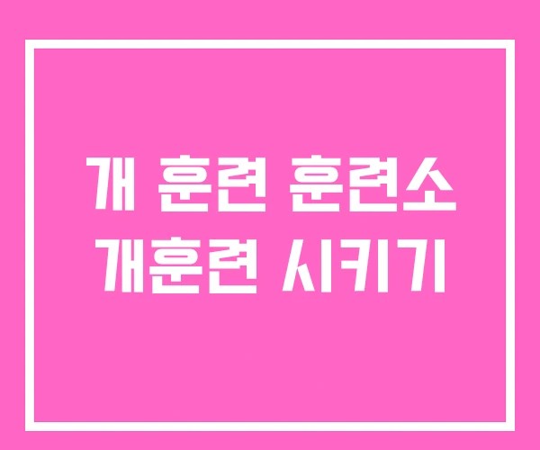 개 훈련 훈련소 개훈련 시키기