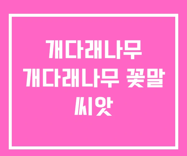 개다래나무 개다래나무 꽃말 씨앗 개다래나무 개다래나무 꽃말 씨앗
