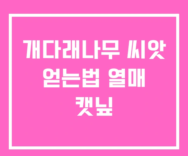 개다래나무 씨앗 얻는법 열매 캣닢 개다래나무 씨앗 얻는법 열매 캣닢