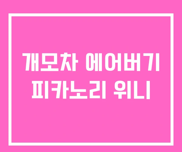 개모차 에어버기 피카노리 위니