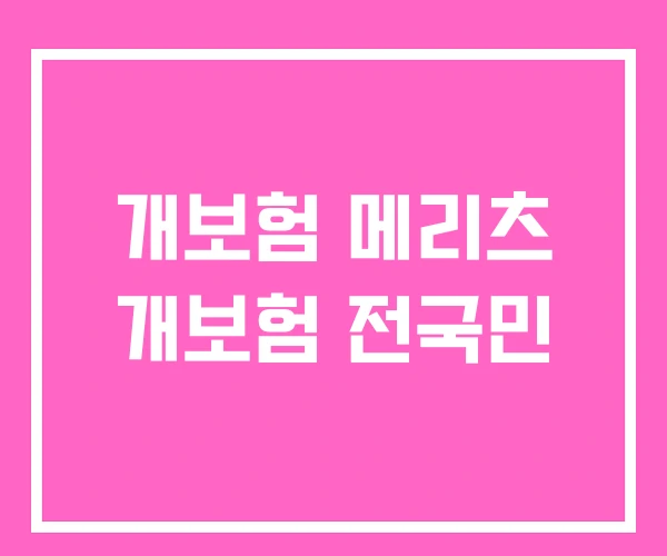 개보험 메리츠 개보험 전국민