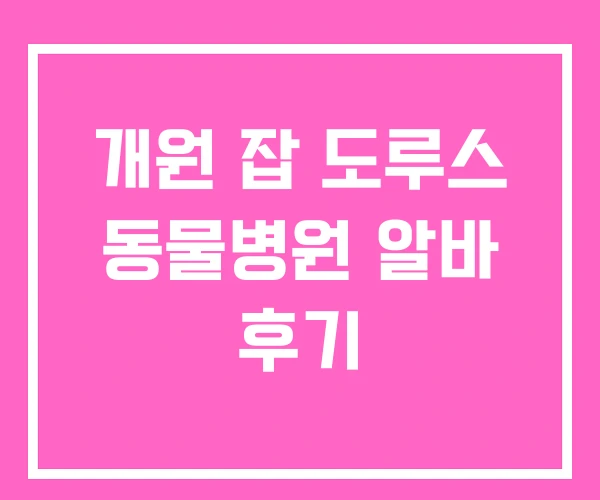 개원 잡 도루스 동물병원 알바 후기