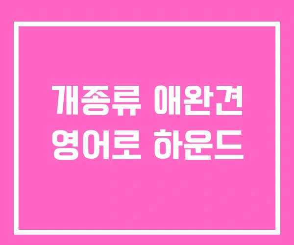 개종류 애완견 영어로 하운드