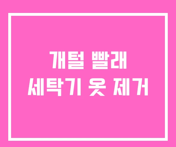 개털 빨래 세탁기 옷 제거 개털 빨래 세탁기 옷 제거