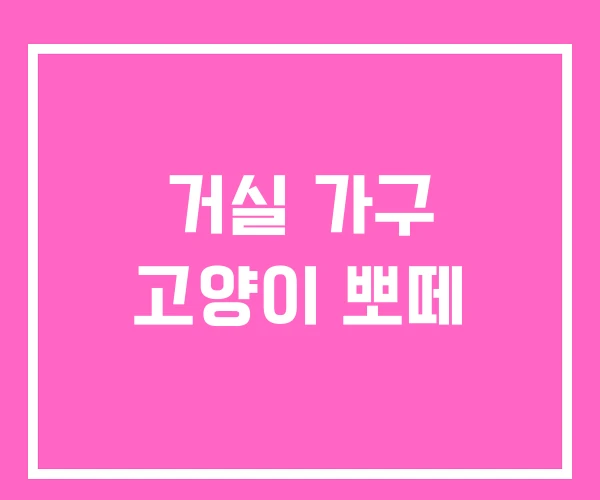 거실 가구 고양이 뽀떼