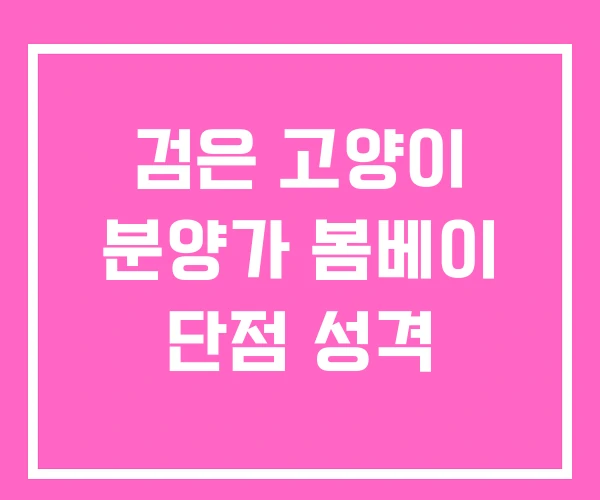 검은 고양이 분양가 봄베이 단점 성격