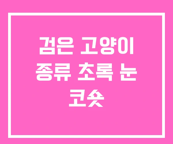 검은 고양이 종류 초록 눈 코숏