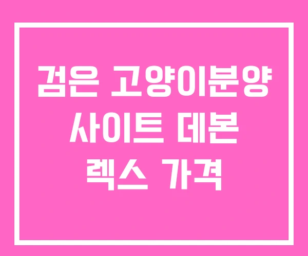 검은 고양이분양 사이트 데본 렉스 가격