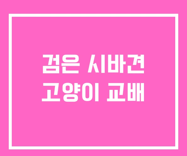 검은 시바견 고양이 교배