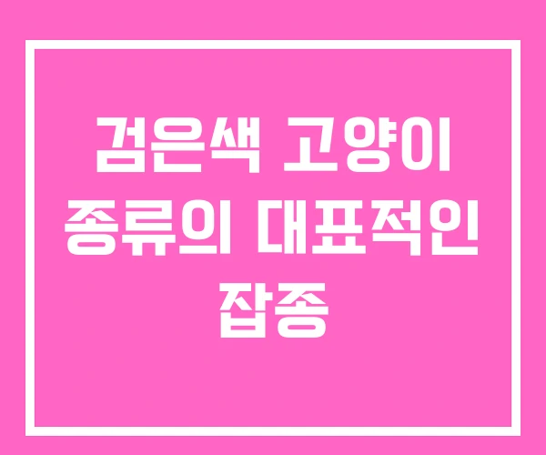 검은색 고양이 종류의 대표적인 잡종