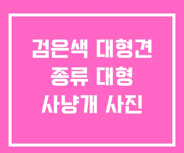 검은색 대형견 종류 대형 사냥개 사진