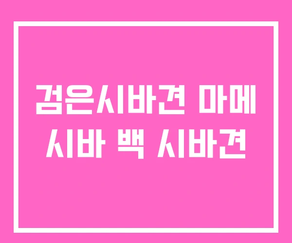 검은시바견 마메 시바 백 시바견