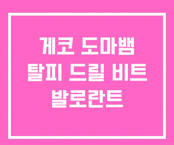 게코 도마뱀 탈피 드릴 비트 발로란트 게코 도마뱀 탈피 드릴 비트 발로란트