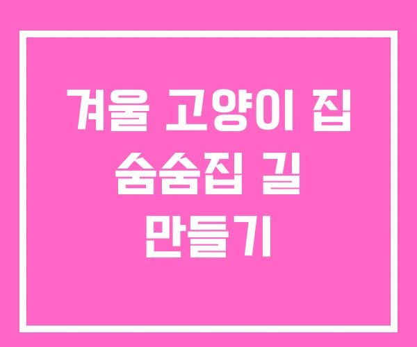 겨울 고양이 집 숨숨집 길 만들기 겨울 고양이 집 숨숨집 길 만들기