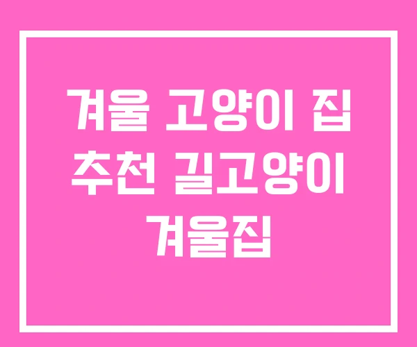 겨울 고양이 집 추천 길고양이 겨울집
