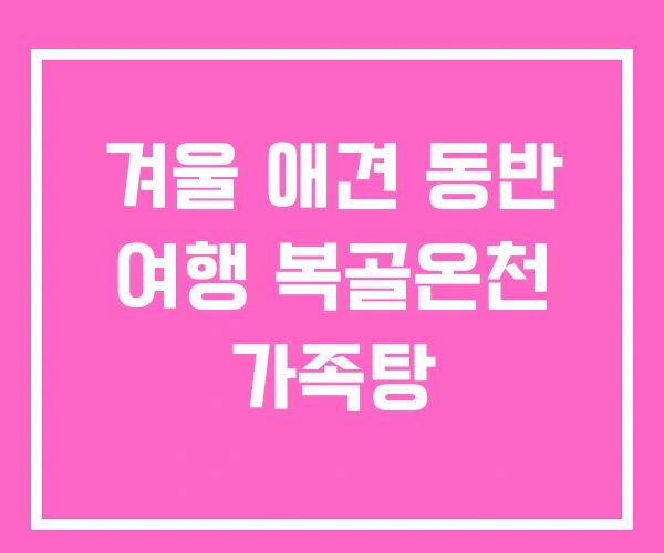 겨울 애견 동반 여행 복골온천 가족탕 겨울 애견 동반 여행 복골온천 가족탕