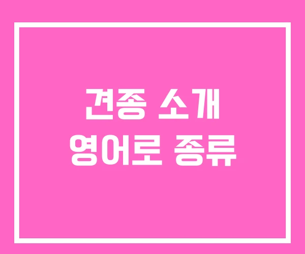 견종 소개 영어로 종류 견종 소개 영어로 종류
