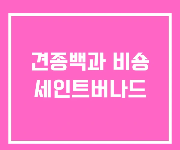 견종백과 비숑 세인트버나드