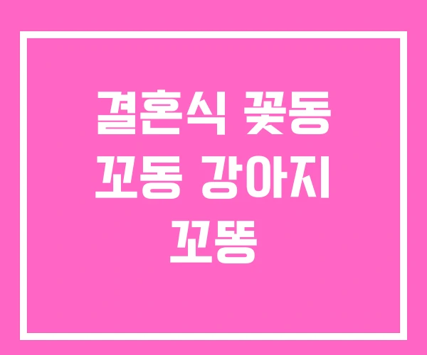결혼식 꽃동 꼬동 강아지 꼬똥 결혼식 꽃동 꼬동 강아지 꼬똥