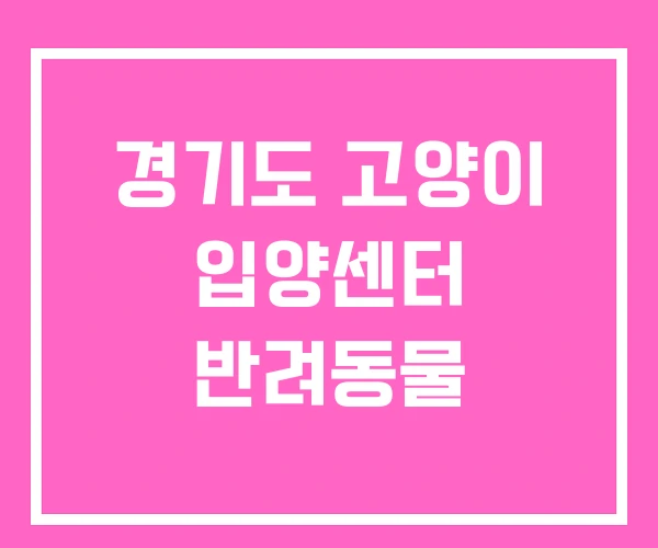 경기도 고양이 입양센터 반려동물