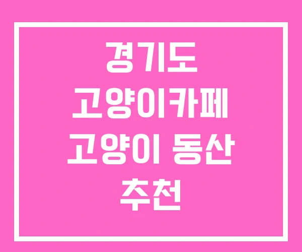 경기도 고양이카페 고양이 동산 추천