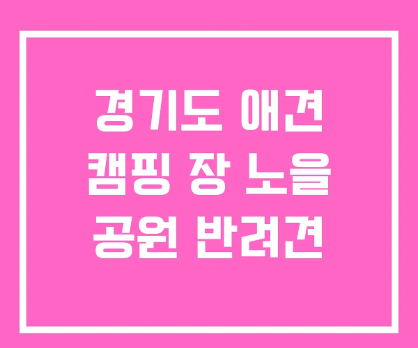경기도 애견 캠핑 장 노을 공원 반려견 경기도 애견 캠핑 장 노을 공원 반려견