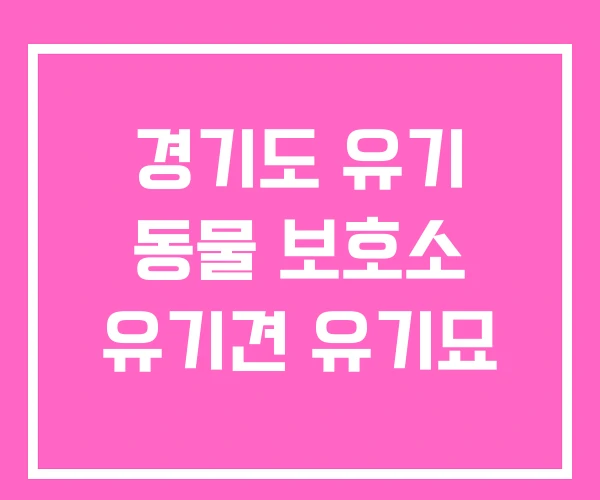 경기도 유기 동물 보호소 유기견 유기묘 경기도 유기 동물 보호소 유기견 유기묘