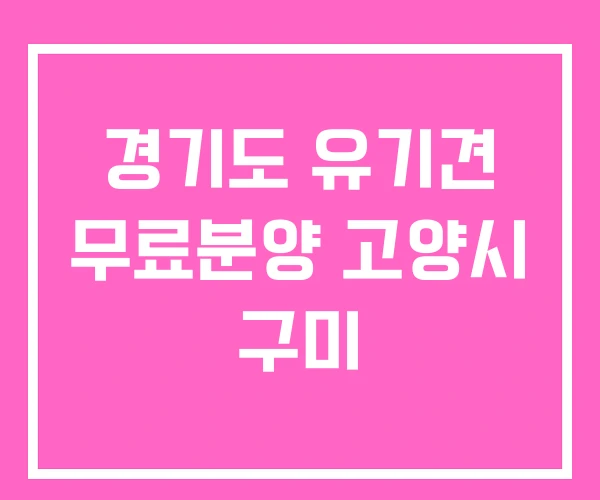 경기도 유기견 무료분양 고양시 구미