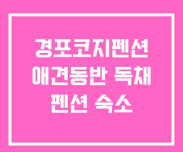 경포코지펜션 애견동반 독채 펜션 숙소 경포코지펜션 애견동반 독채 펜션 숙소