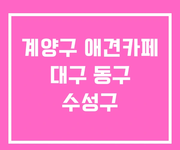 계양구 애견카페 대구 동구 수성구 계양구 애견카페 대구 동구 수성구