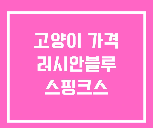 고양이 가격 러시안블루 스핑크스