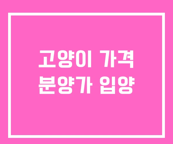 고양이 가격 분양가 입양