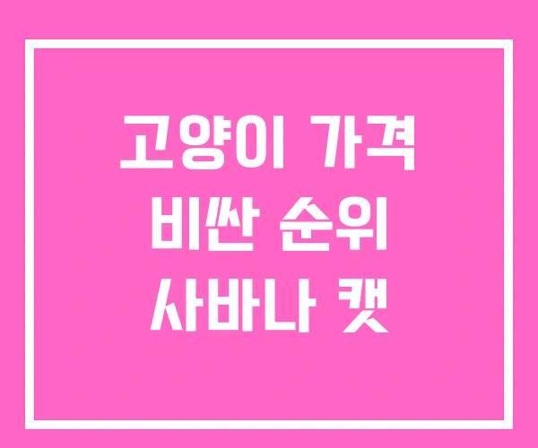 고양이 가격 비싼 순위 사바나 캣 고양이 가격 비싼 순위 사바나 캣