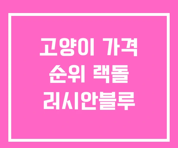 고양이 가격 순위 랙돌 러시안블루