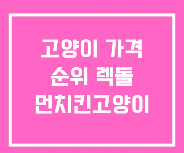 고양이 가격 순위 렉돌 먼치킨고양이