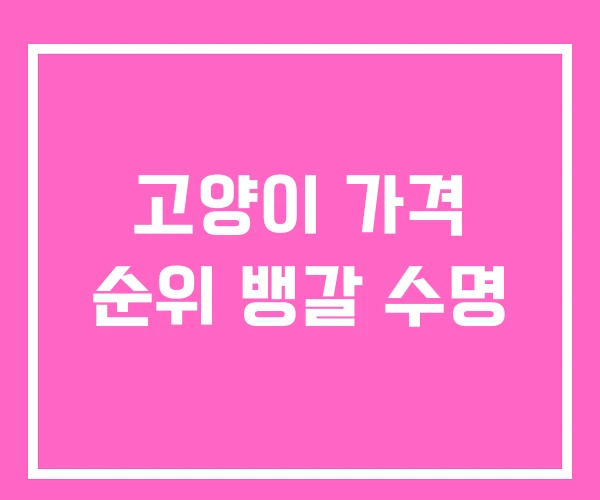 고양이 가격 순위 뱅갈 수명