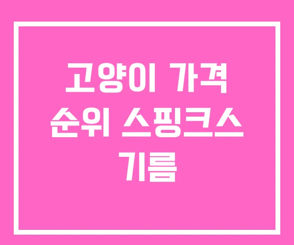 고양이 가격 순위 스핑크스 기름