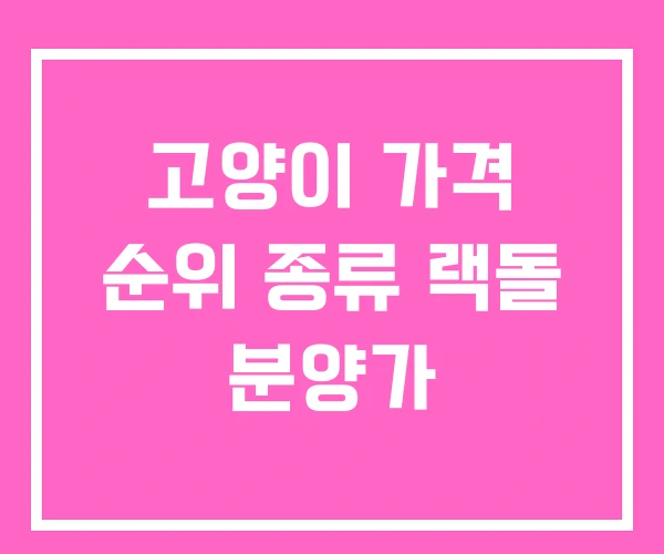 고양이 가격 순위 종류 랙돌 분양가