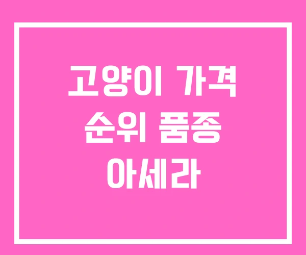 고양이 가격 순위 품종 아세라