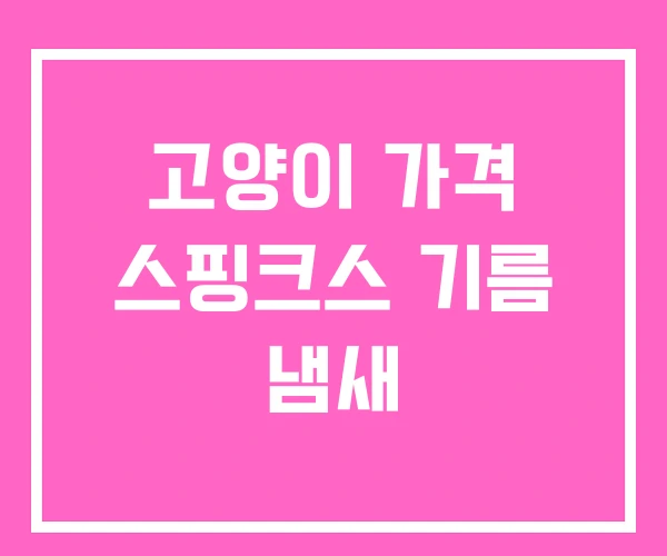 고양이 가격 스핑크스 기름 냄새