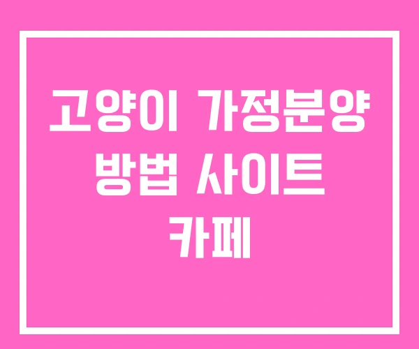 고양이 가정분양 방법 사이트 카페