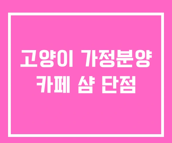 고양이 가정분양 카페 샴 단점