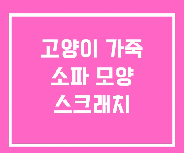 고양이 가죽 소파 모양 스크래치