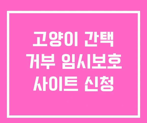 고양이 간택 거부 임시보호 사이트 신청 고양이 간택 거부 임시보호 사이트 신청