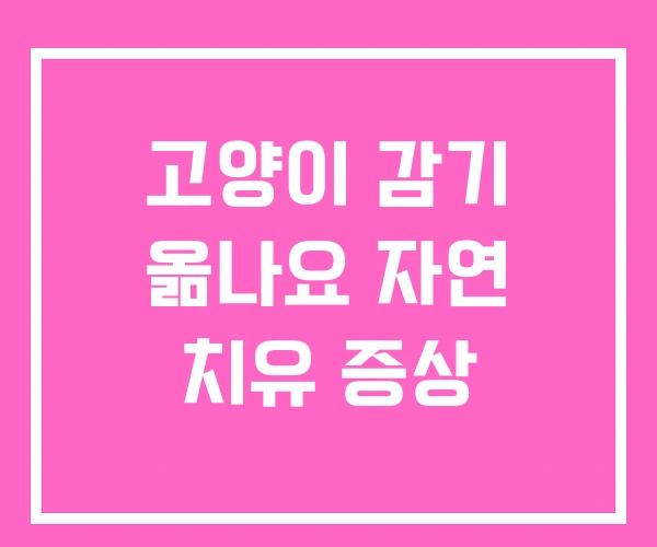 고양이 감기 옮나요 자연 치유 증상