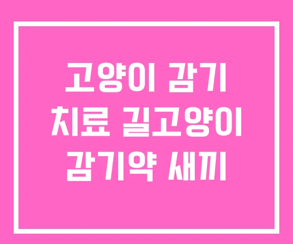 고양이 감기 치료 길고양이 감기약 새끼