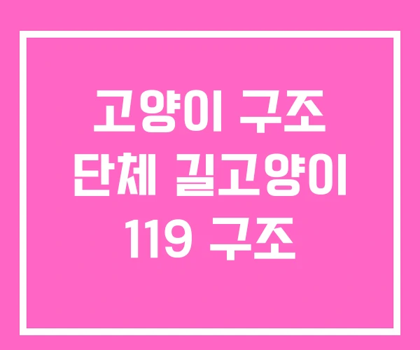 고양이 구조 단체 길고양이 119 구조