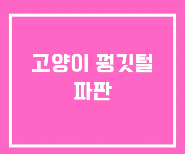 고양이 꿩깃털 파판