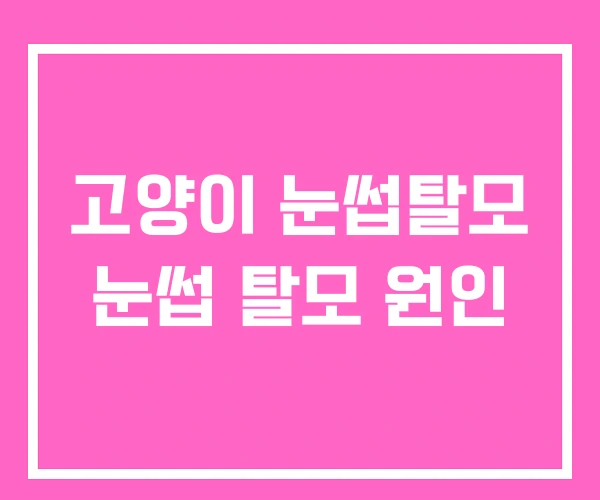 고양이 눈썹탈모 눈썹 탈모 원인