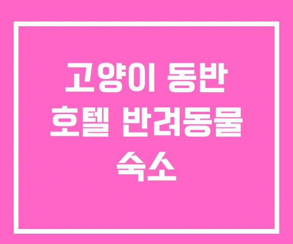 고양이 동반 호텔 반려동물 숙소